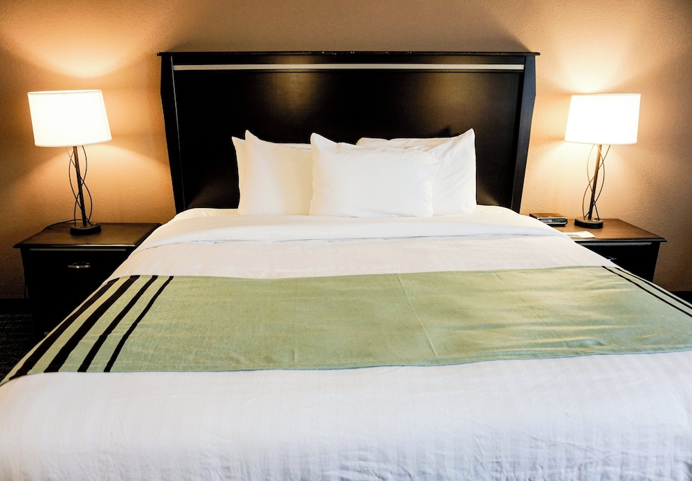 Business Room, 1 King Bed, Non Smoking - Photo 2