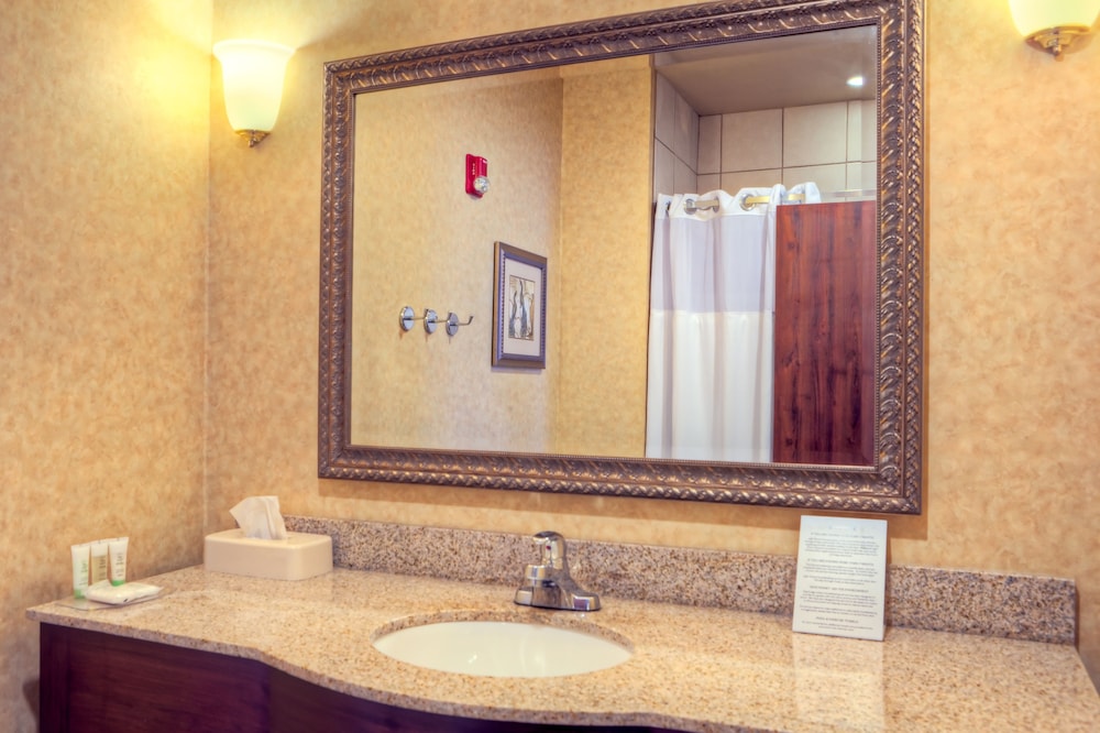 Suite, 1 Bedroom, Kitchen - Photo 2