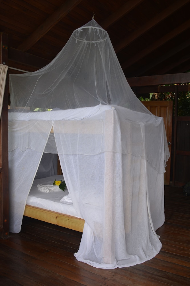Monkey House photo 1