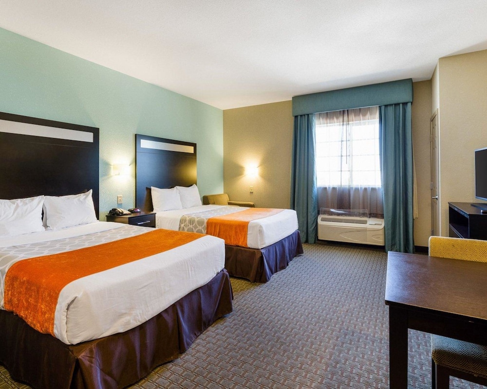 Room, Multiple Beds, Accessible, Kitchenette photo 3