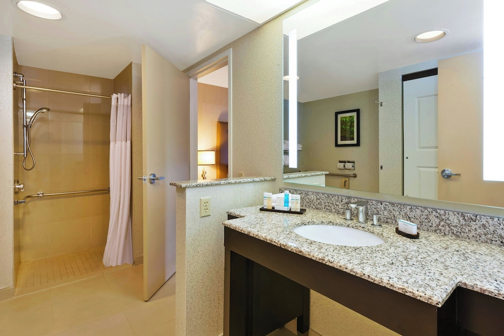 Suite, 1 Bedroom - Photo 10