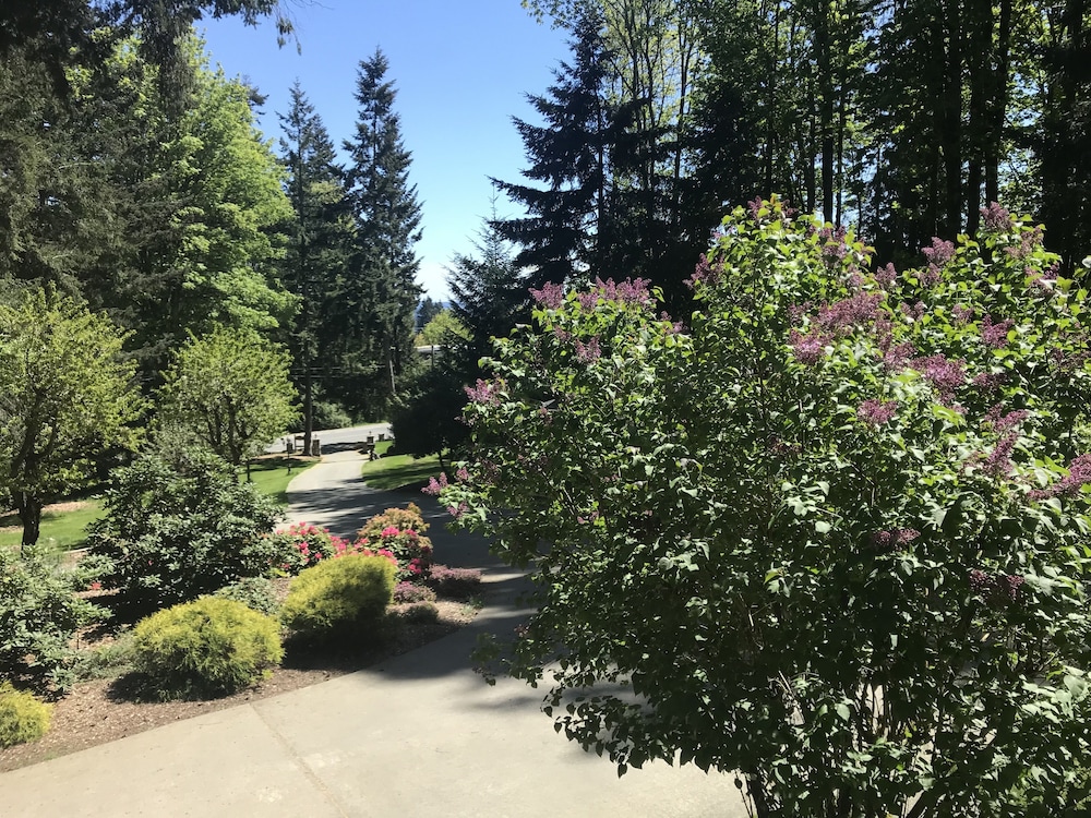 Comfort Room, 1 Queen Bed, Allergy Friendly, Park View photo 3
