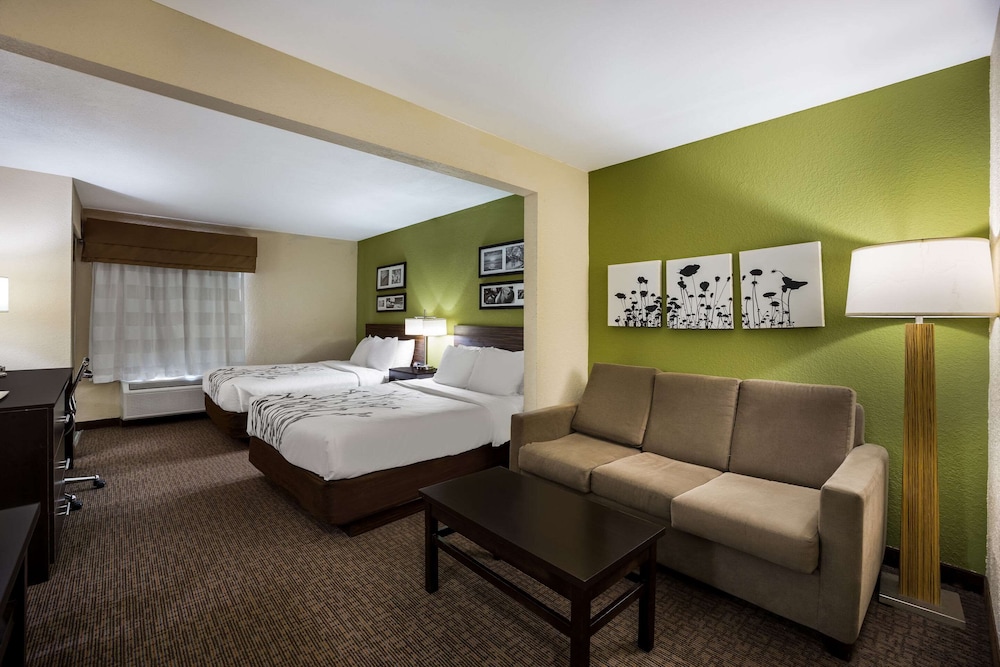 Suite - Photo 3