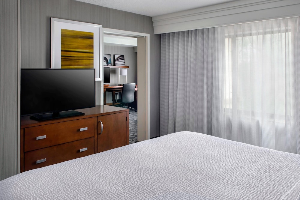 Suite, 1 King Bed with Sofa bed photo 3