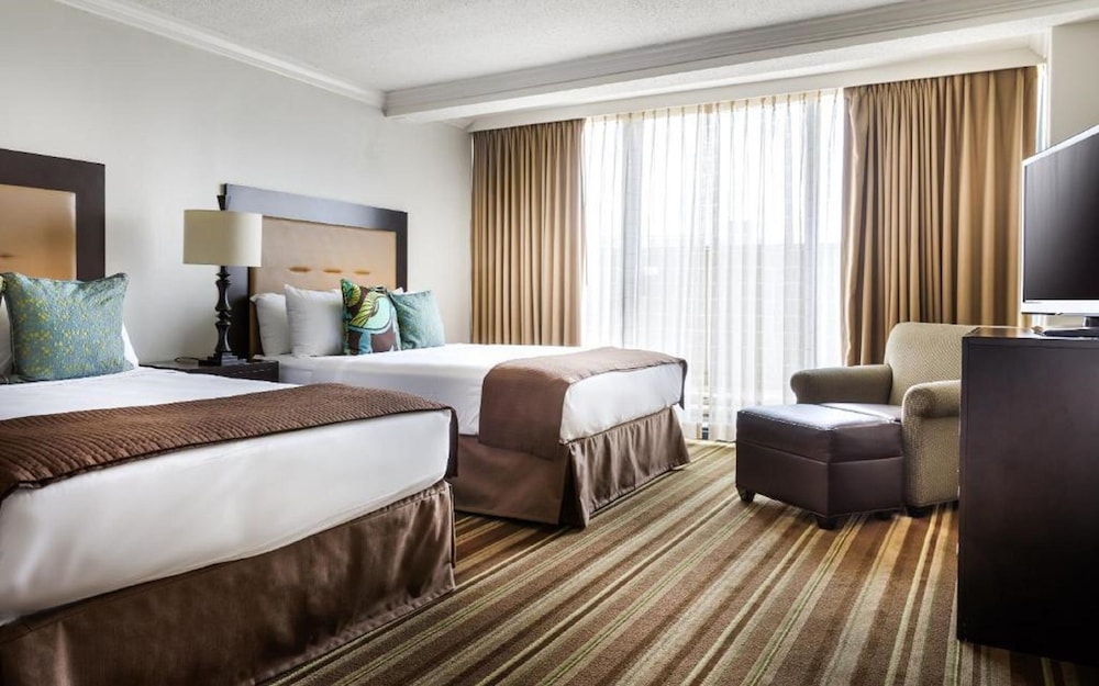 Executive Suite, 2 Queen Beds, Executive Level photo 3