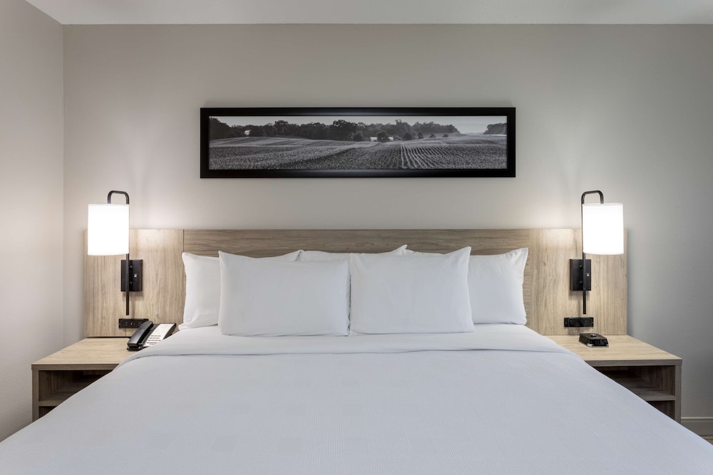 Suite, 1 King Bed, Accessible photo 1