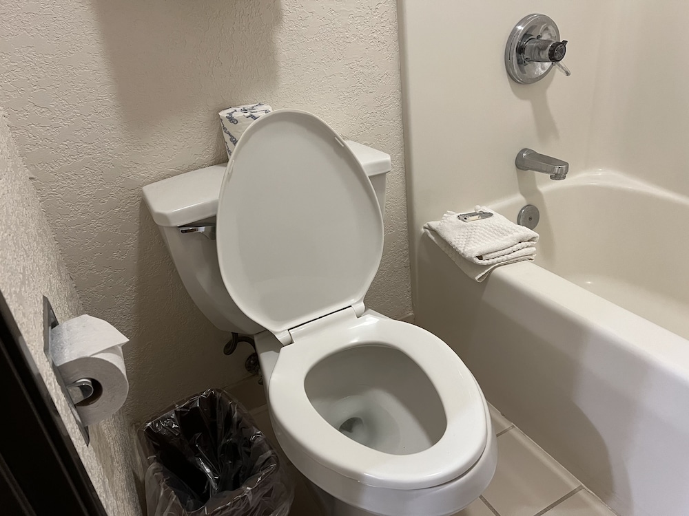 Basic Room - Photo 5