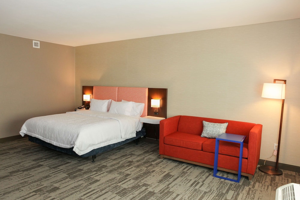 Room, 1 King Bed with Sofa bed, Accessible, Bathtub