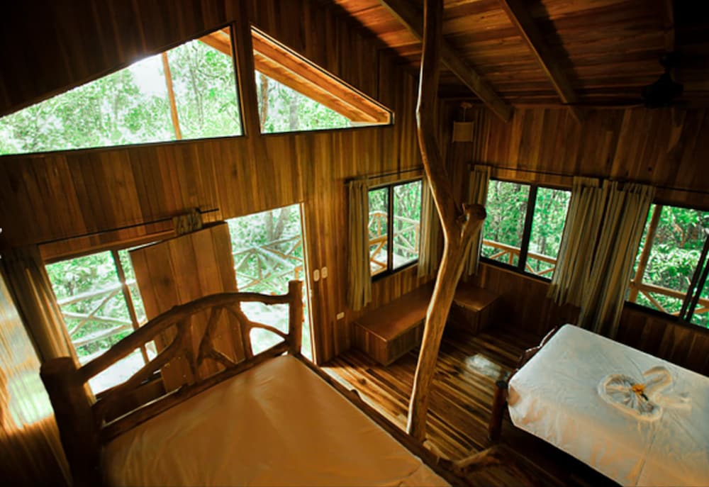 The Monkey Tree House photo 2