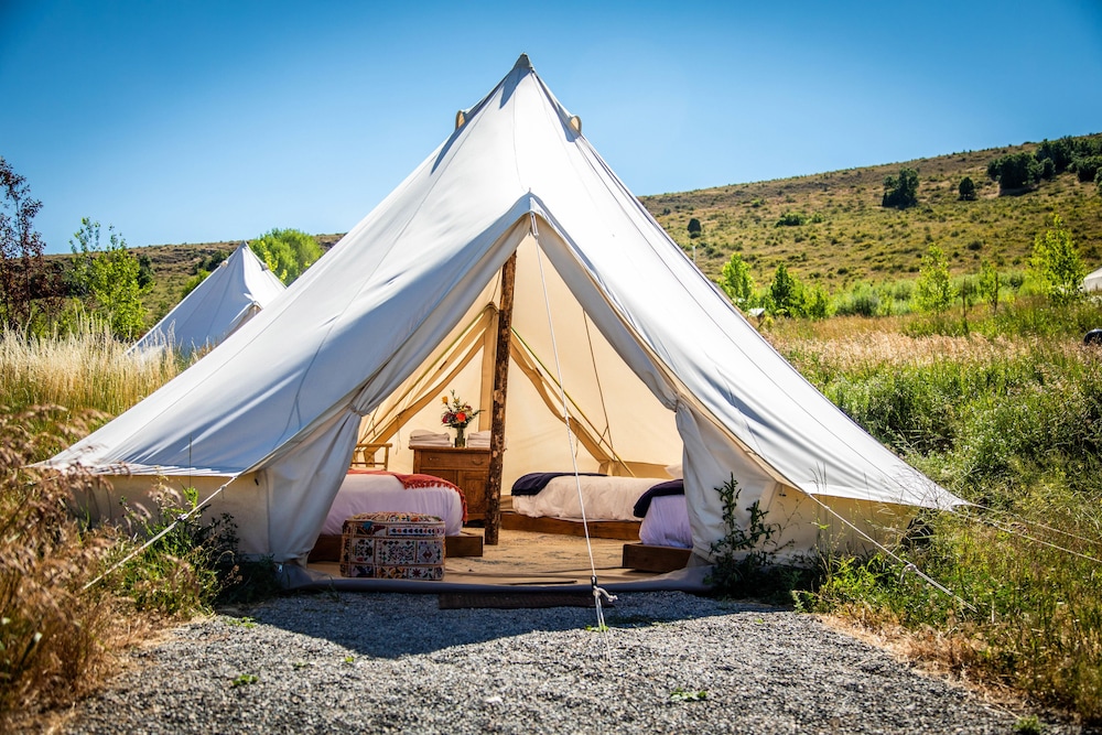 Traditional Tent with Electricity photo 1