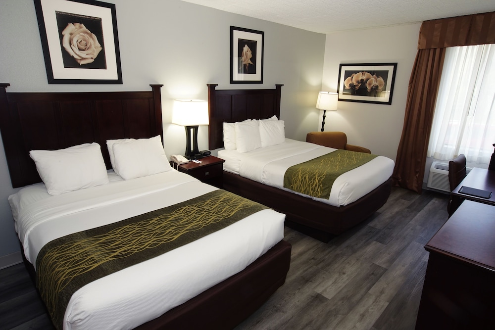 Standard Room, 2 Queen Beds, Non Smoking, Refrigerator & Microwave - Photo 9