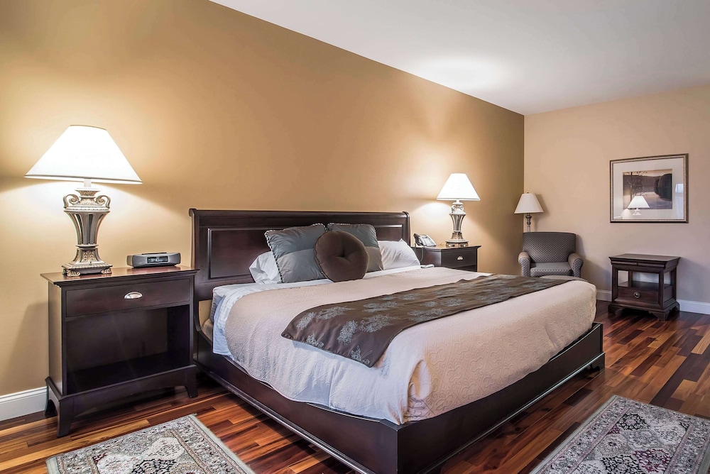 Room, 1 King Bed, Accessible, Non Smoking photo 1