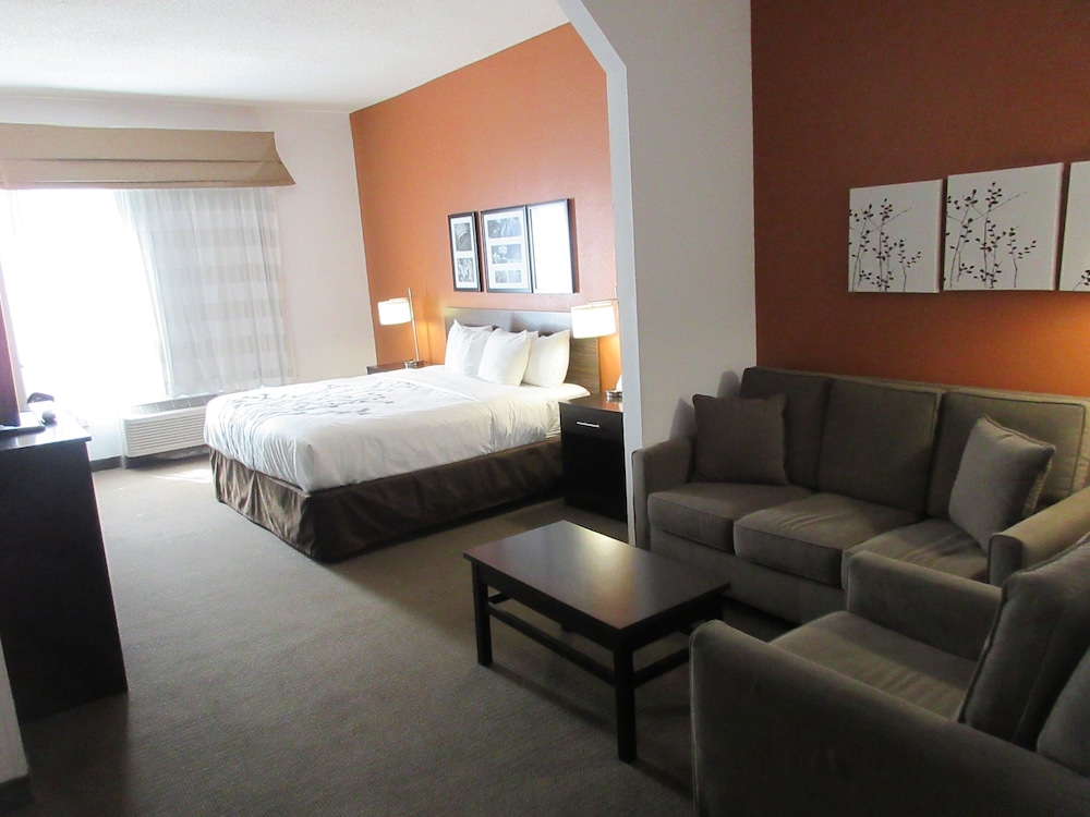 Suite, 1 King Bed with Sofa bed, Accessible, Non Smoking - Photo 4