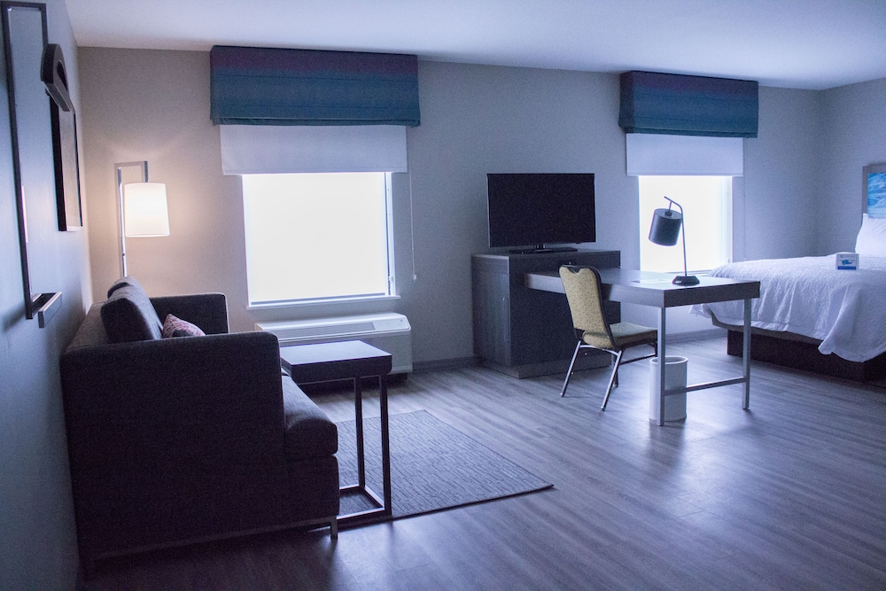 Room, 1 King Bed with Sofa bed, Refrigerator