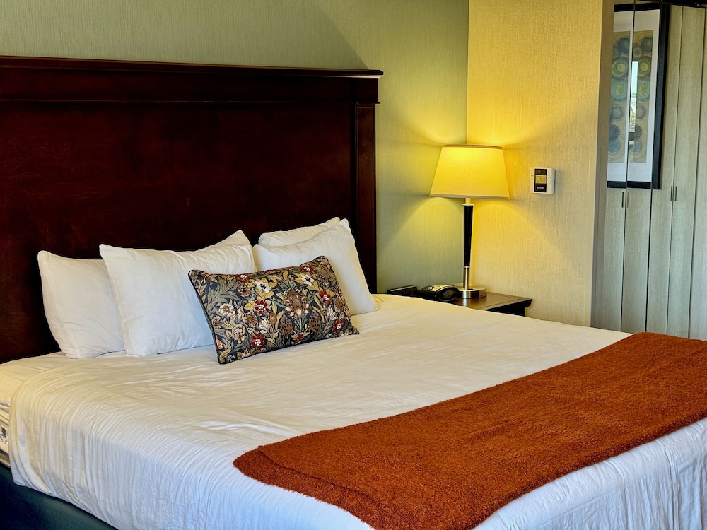 Standard Room, 1 King Bed - Photo 3