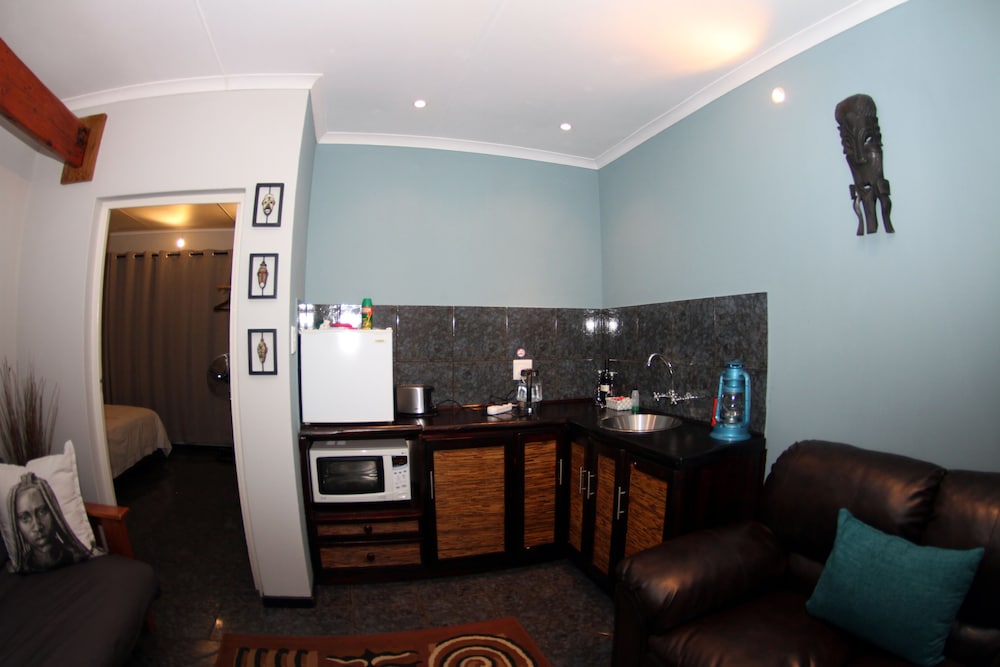 Chordata Suite photo 2