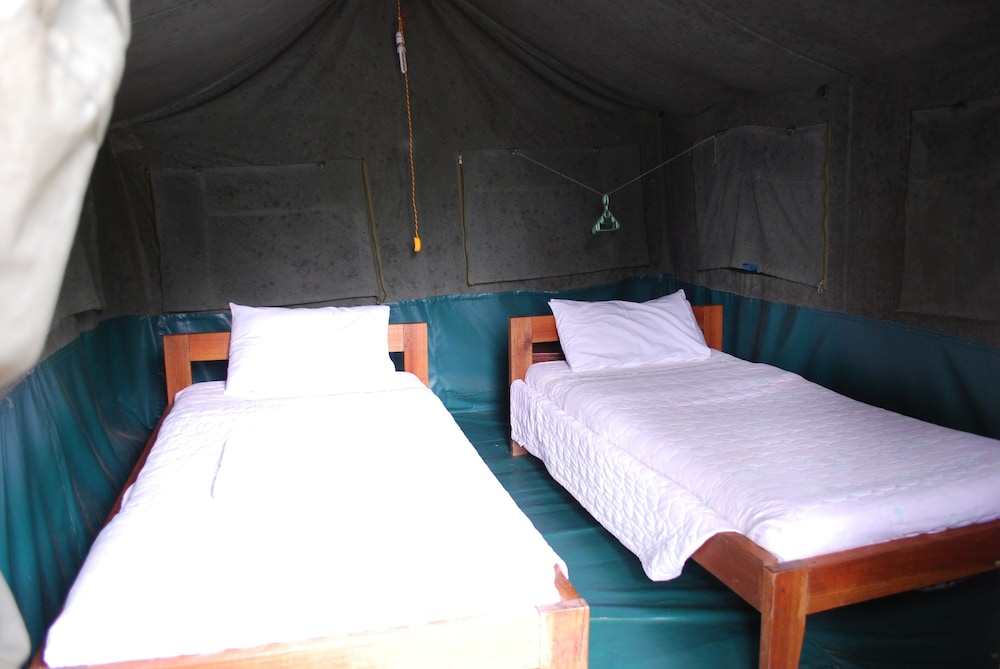 Basic Tree House, 2 Twin Beds, Lake View