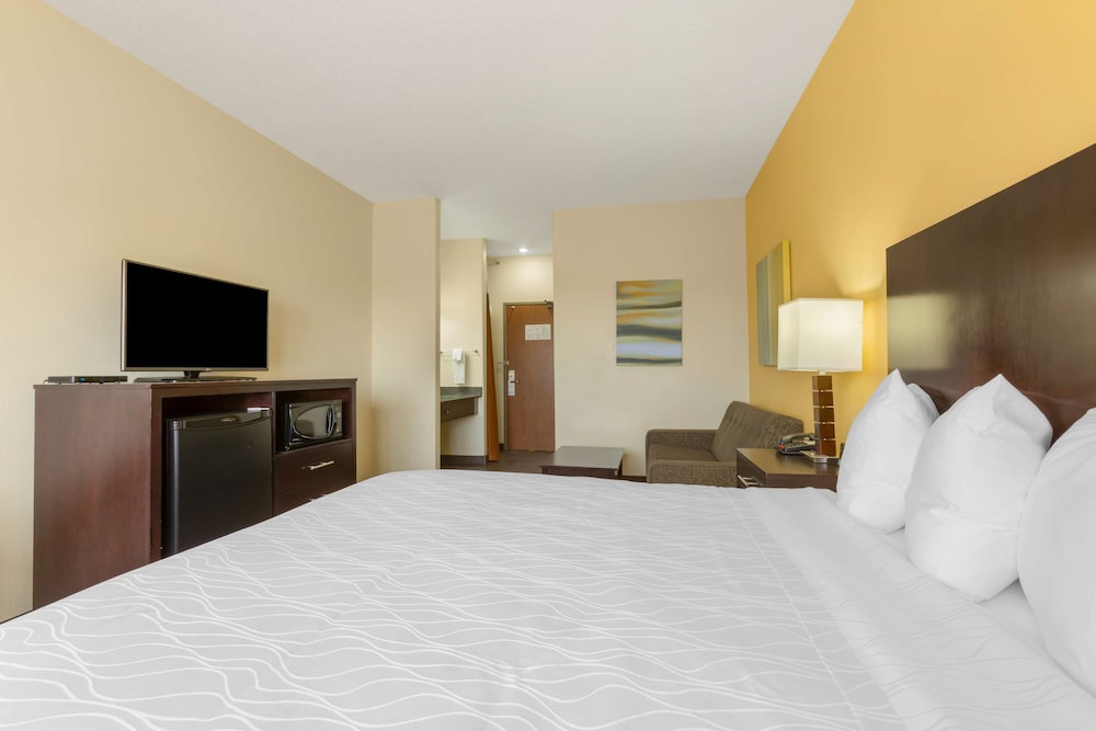 Standard Room, 1 King Bed, Non Smoking, Refrigerator & Microwave (with Sofabed) - Photo 2