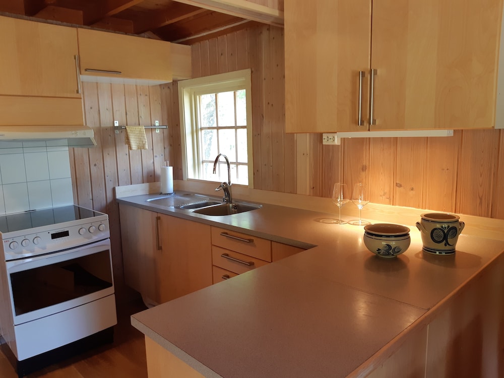 Family Cabin, Private Bathroom (with sleeping loft) photo 2