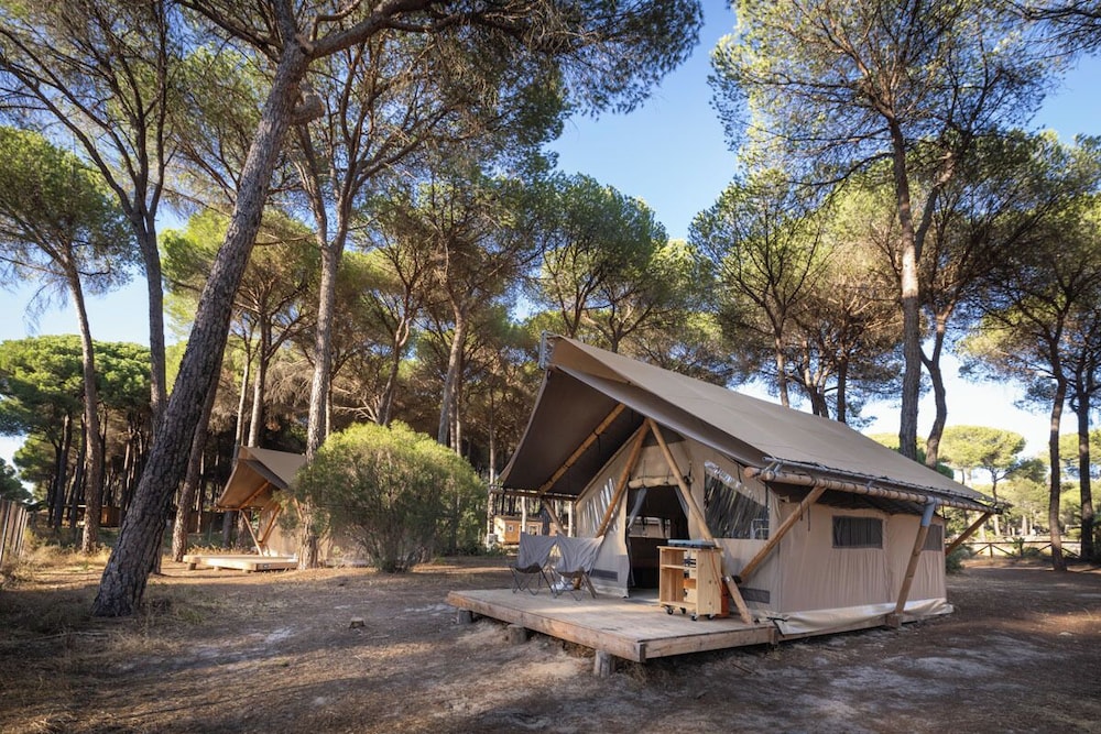 Comfort Tent