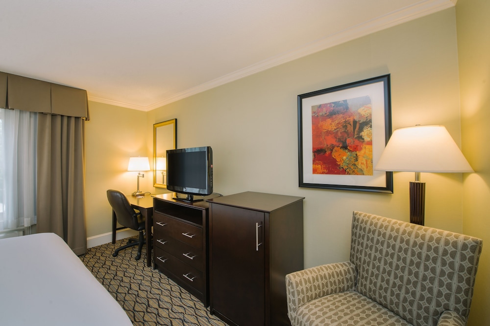 Standard Room, 1 King Bed, Accessible (Communication Accessible) - Photo 3