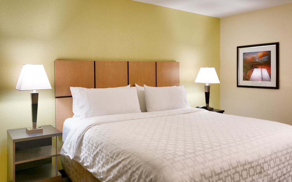 Studio Suite, 1 Queen Bed - Photo 4