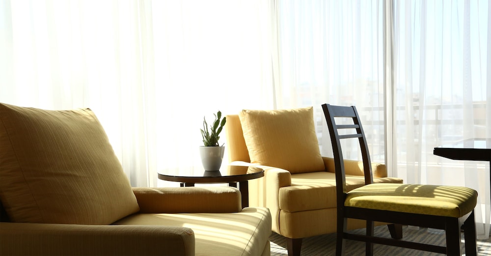 Business Suite, Kitchenette photo 2