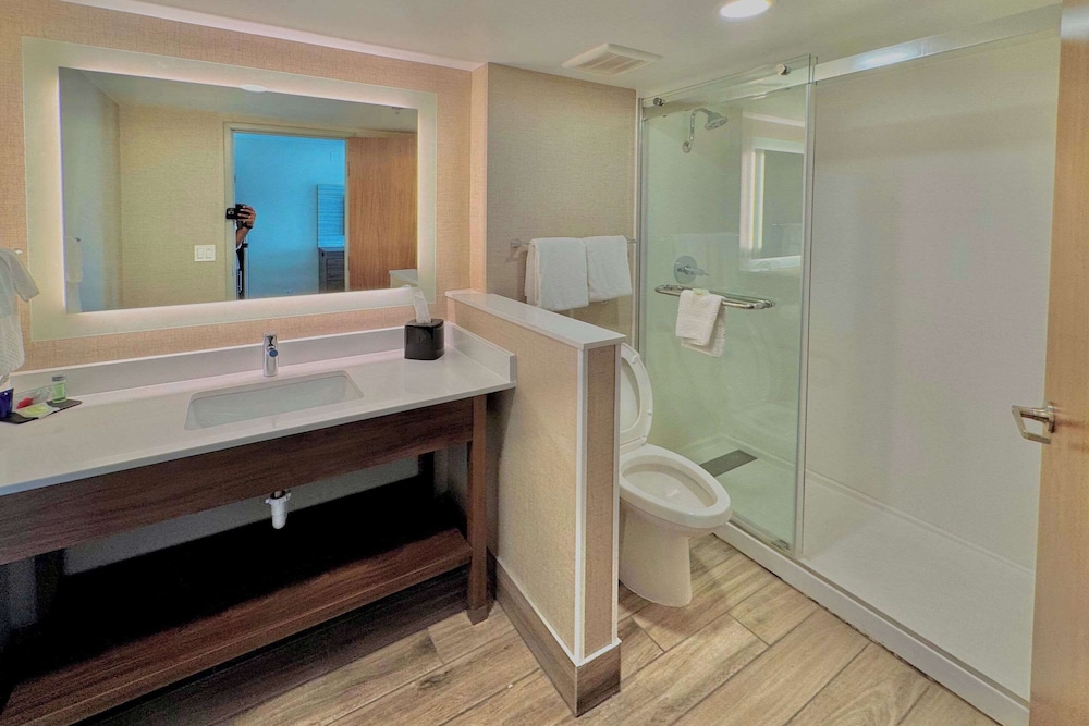 Suite, 1 King Bed, Non Smoking (Efficiency, Upgrade) - Photo 3