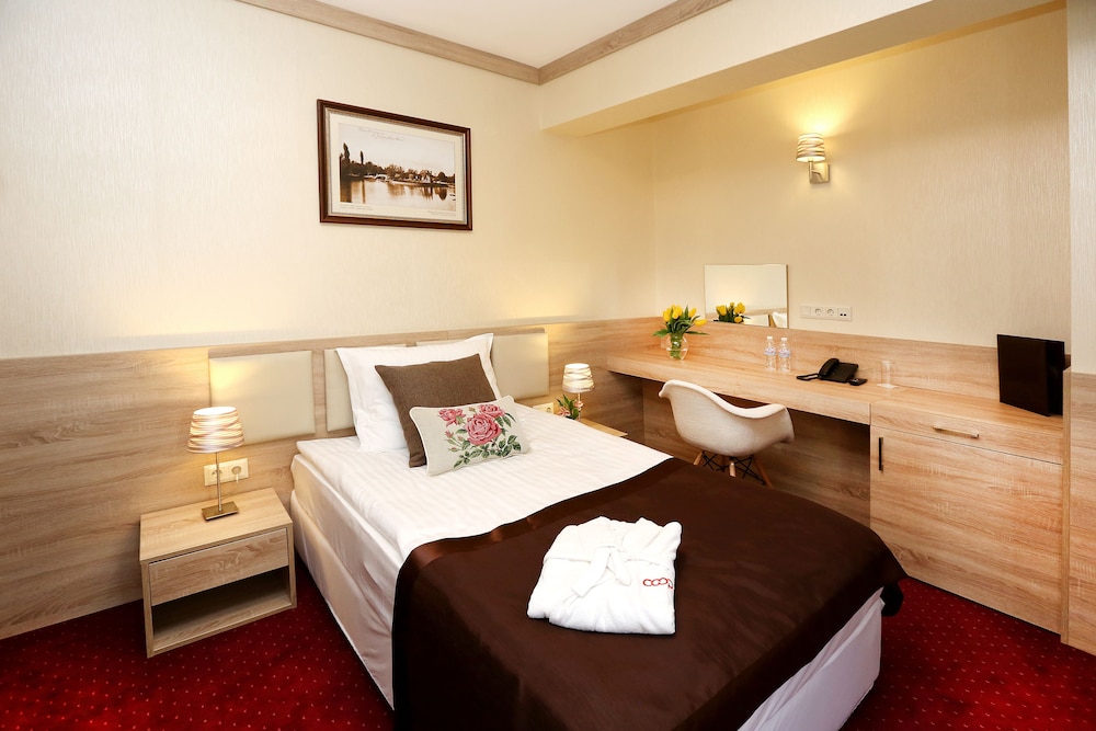 Deluxe Single Room photo 1