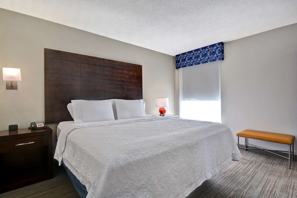 Suite, 1 King Bed, Non Smoking - Photo 3