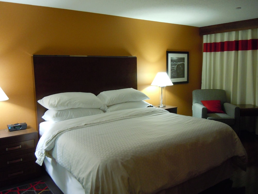 Room, 1 Queen Bed with Sofa bed - Photo 5