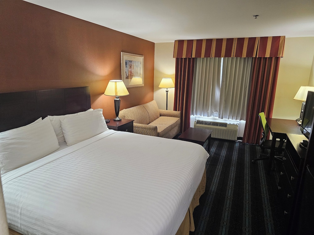 Standard Room, 1 King Bed, Non Smoking, Refrigerator & Microwave (with Sofabed) photo 2