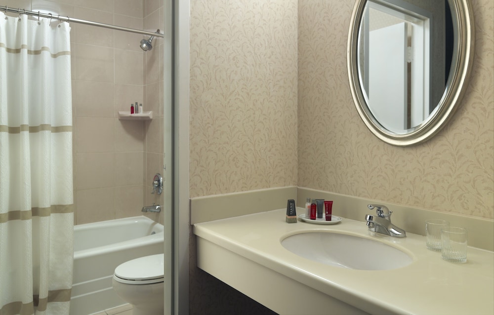 Suite, 1 King Bed (Studio King Room) photo 3