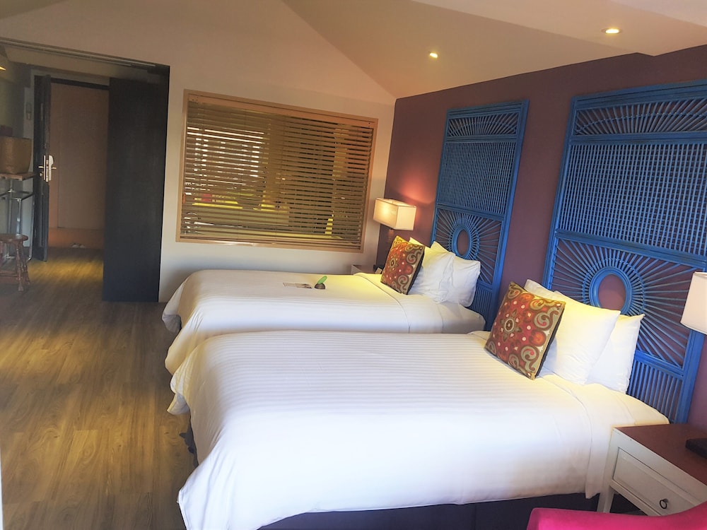 Elite Room - Photo 2