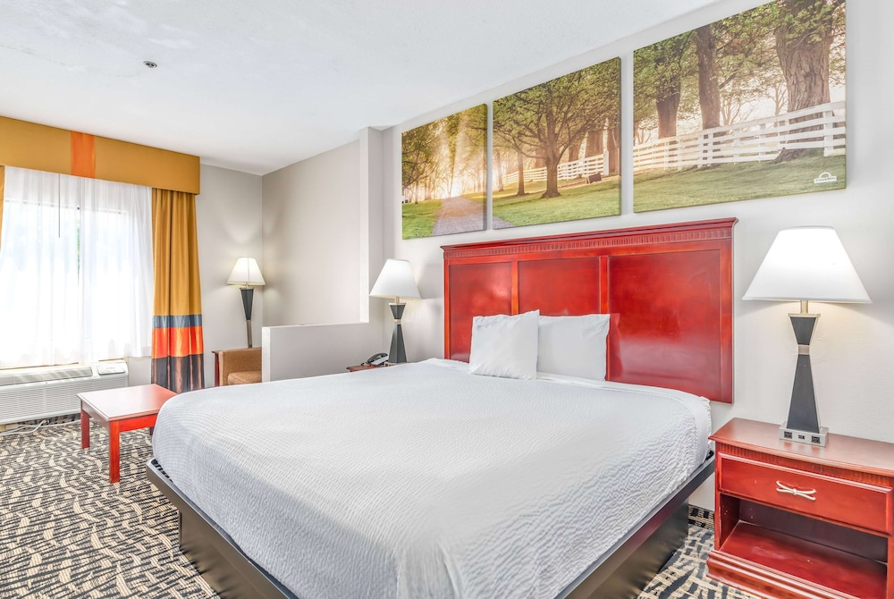 Room, 1 King Bed, Non Smoking (Efficiency)