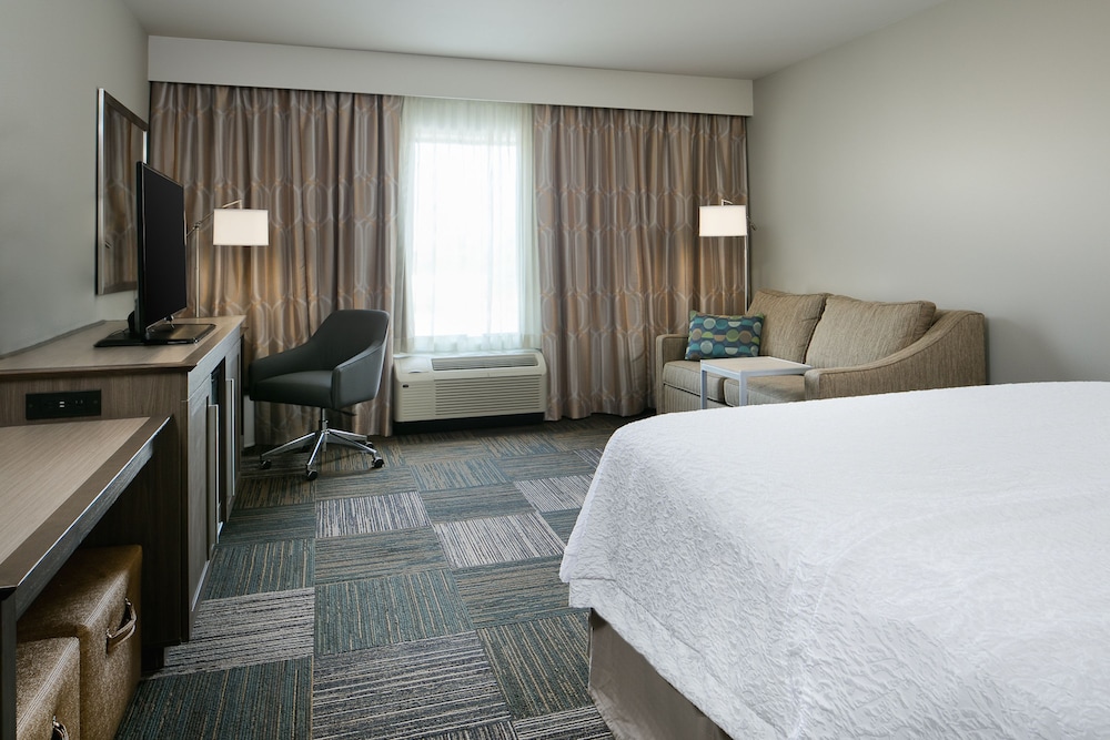 Room, 1 King Bed, Accessible, Bathtub (Mobility & Hearing) photo 3