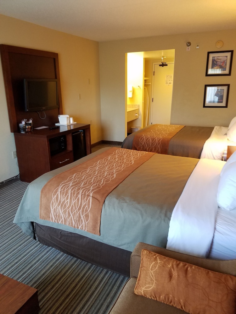Standard Room, Multiple Beds, Non Smoking - Photo 2