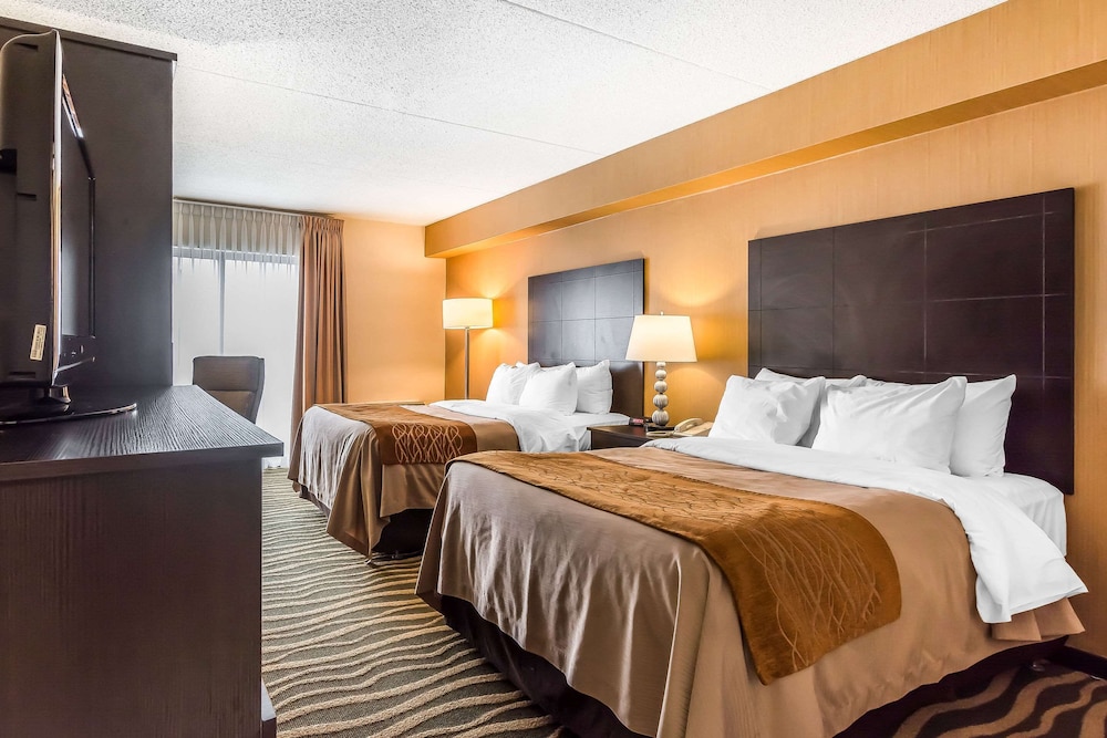 Room, 2 Queen Beds, Non Smoking (Dog Friendly) Ground Level - Photo 1