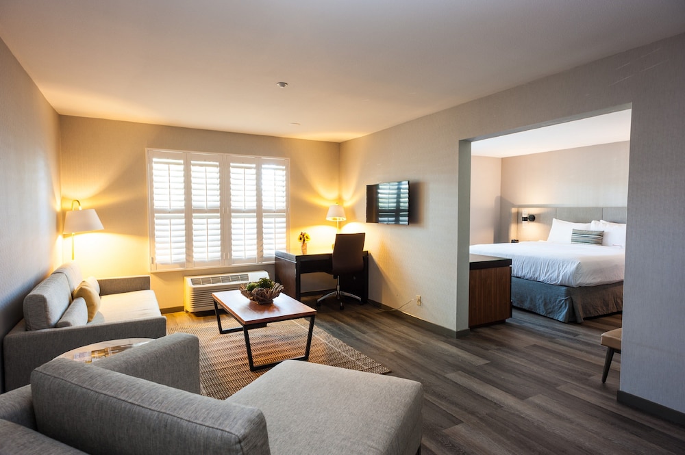 Suite, 1 Bedroom - Photo 7