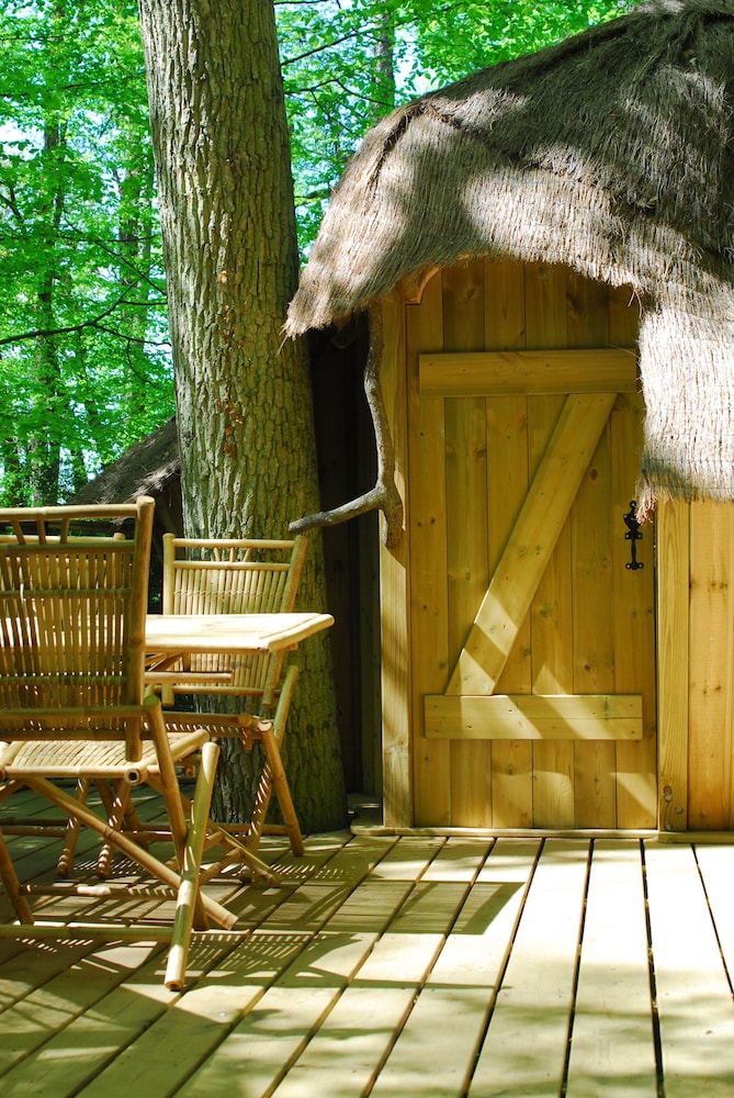 Tree House photo 3