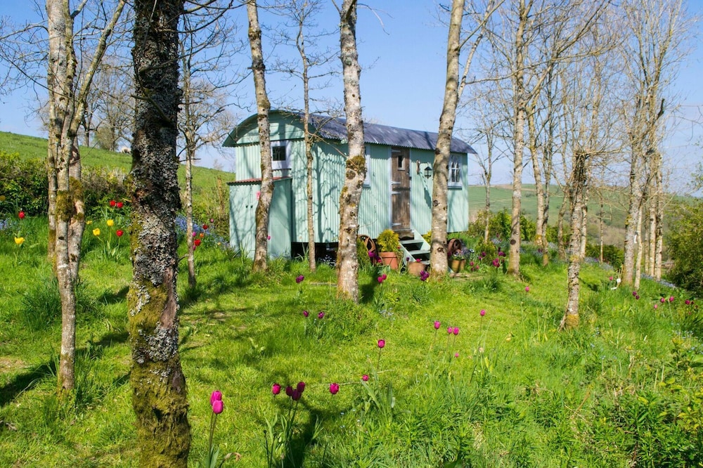 Nadine Hut photo 3