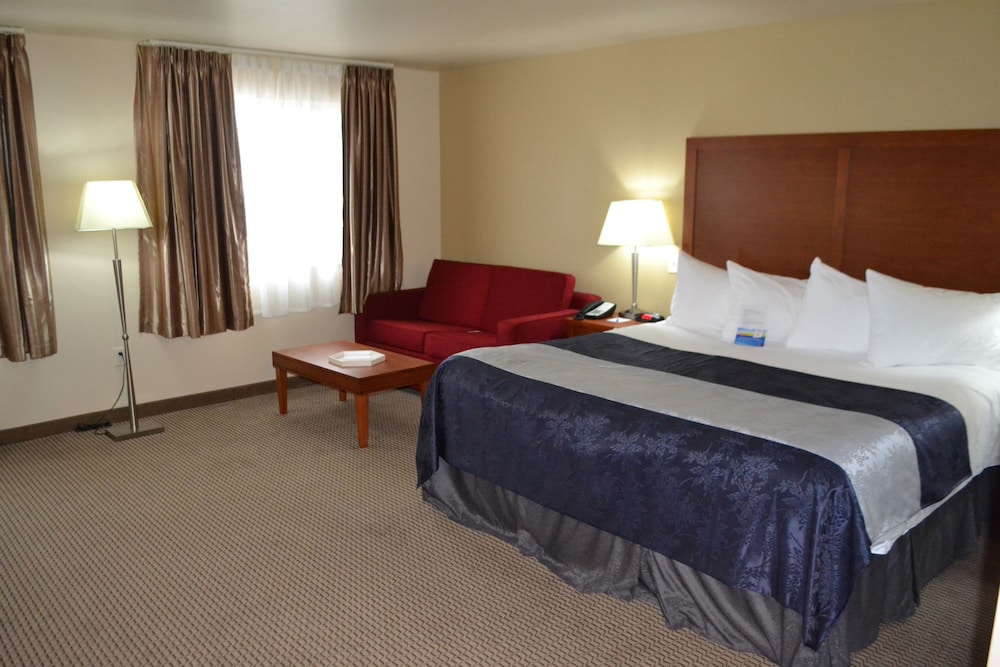 Room, 1 King Bed with Sofa bed, Non Smoking (Oversized Room) photo 1