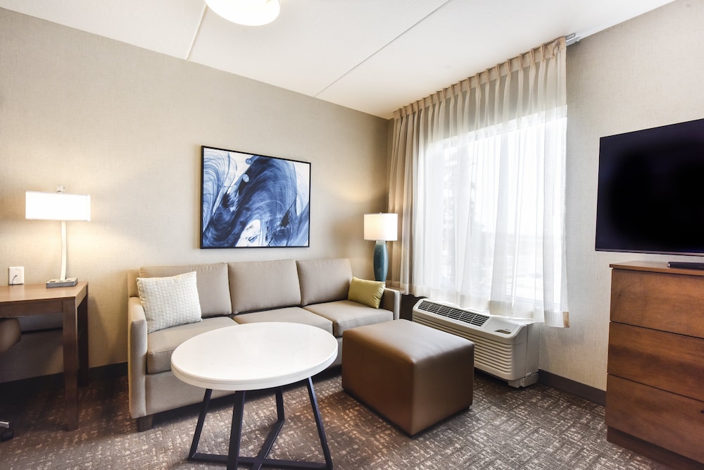 Studio Suite, 1 King Bed, Roll-in Shower, Kitchen (Communications Accessible) photo 3