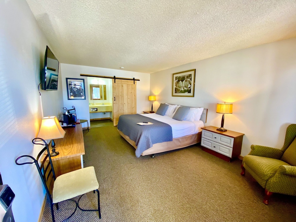 Standard Single Room, 1 King Bed
