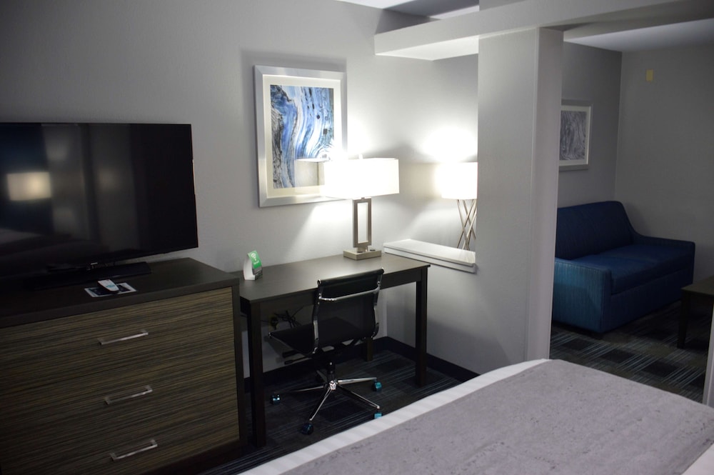 Executive Suite, 1 King Bed, Non Smoking, Refrigerator & Microwave - Photo 3