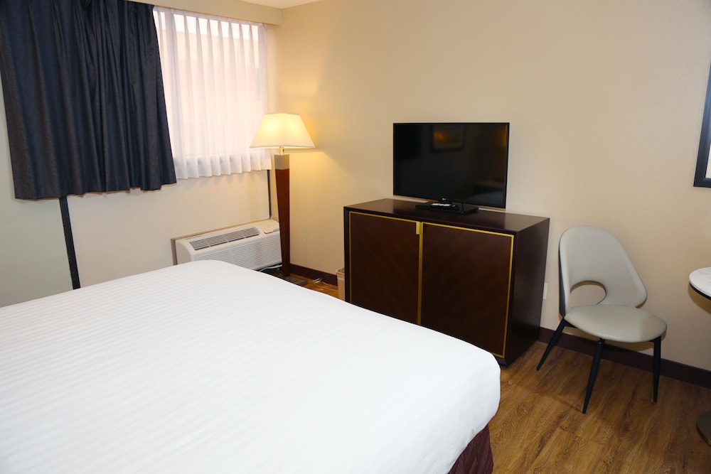 Basic Studio Suite photo 3