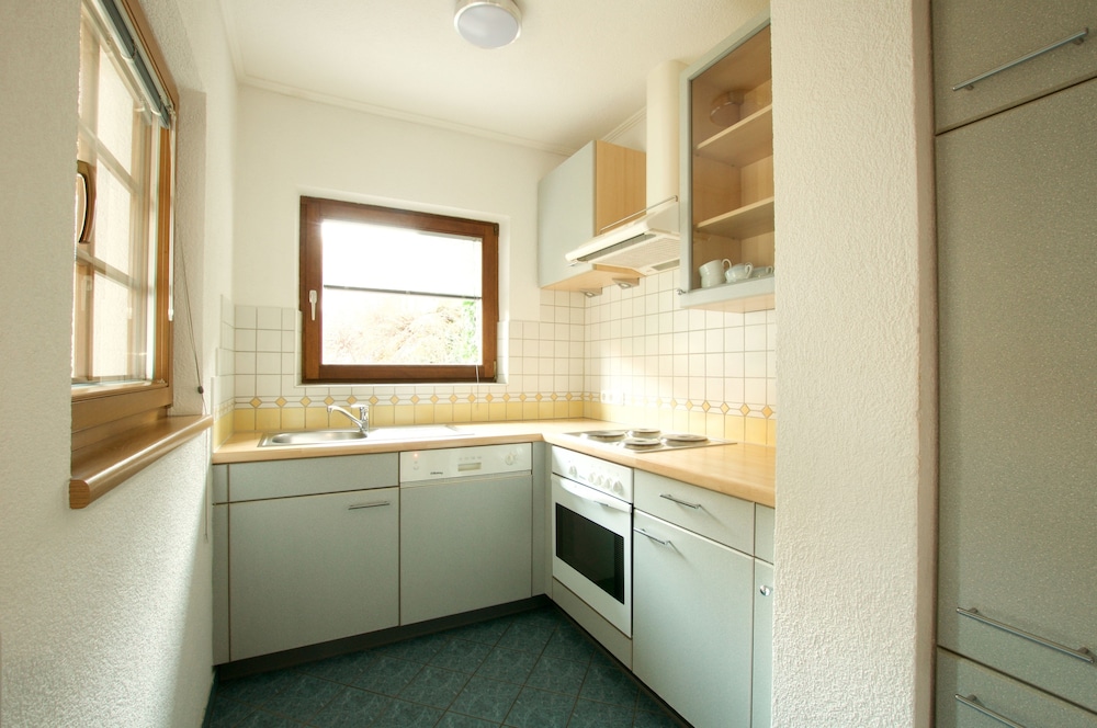 Superior Apartment, 2 Bedrooms, Mountain View, Mountainside photo 3