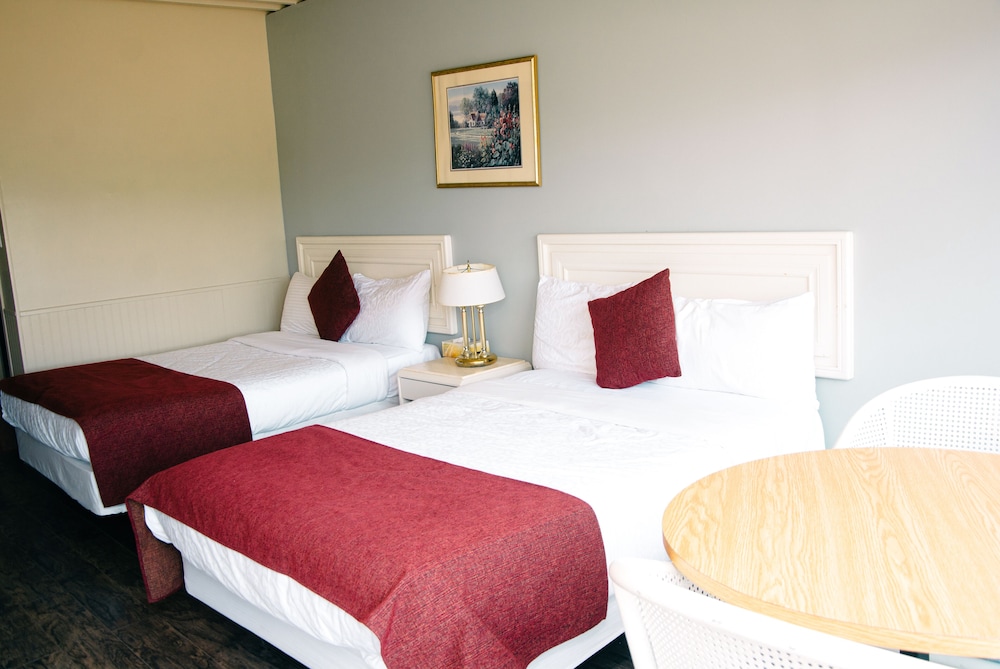Standard Room, 2 Double Beds, Mountain View photo 1