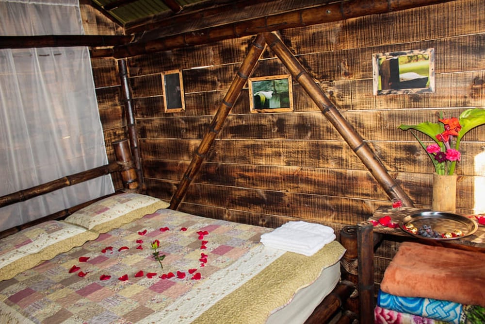 Classic Cabin, 1 Queen Bed photo 1