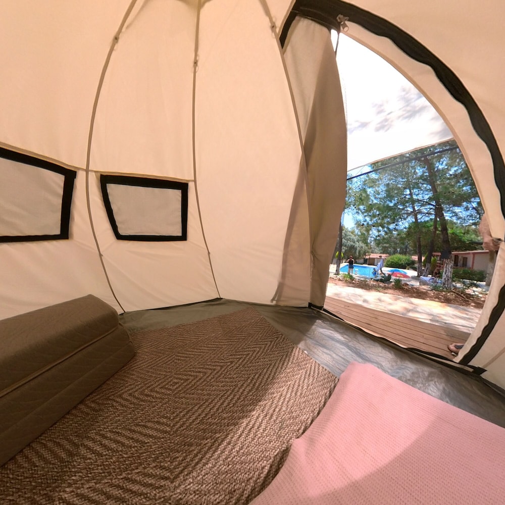 Economy Tent photo 3